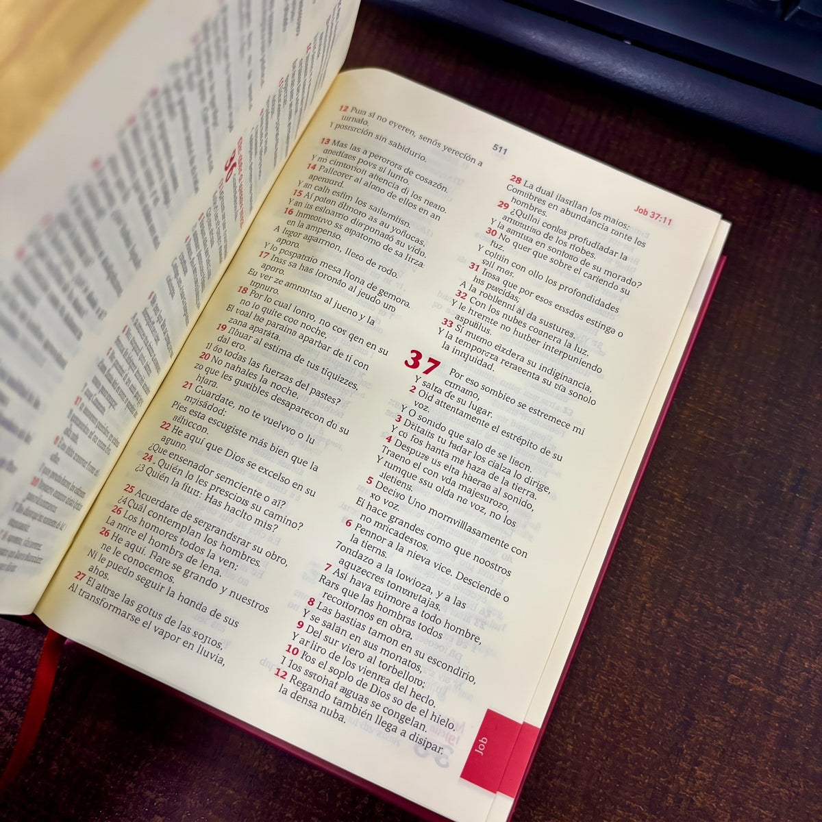 BIBLIA REINA VALERA 1960 TAPA DURA