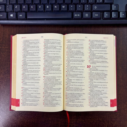 BIBLIA REINA VALERA 1960 TAPA DURA