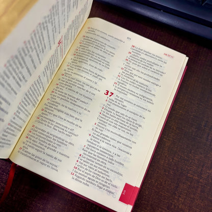 BIBLIA REINA VALERA 1960 TAPA DURA